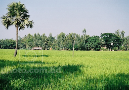Villages