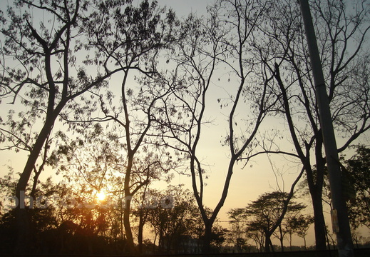 Sunset & Sunrise