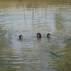 enjoying Bath